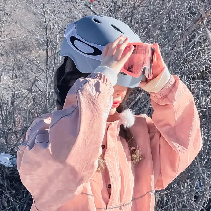 黑道家族