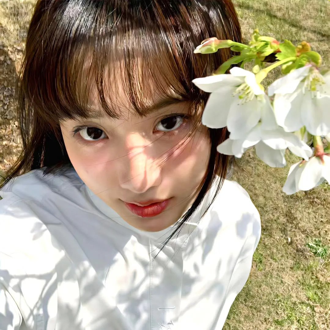 狼与狮子