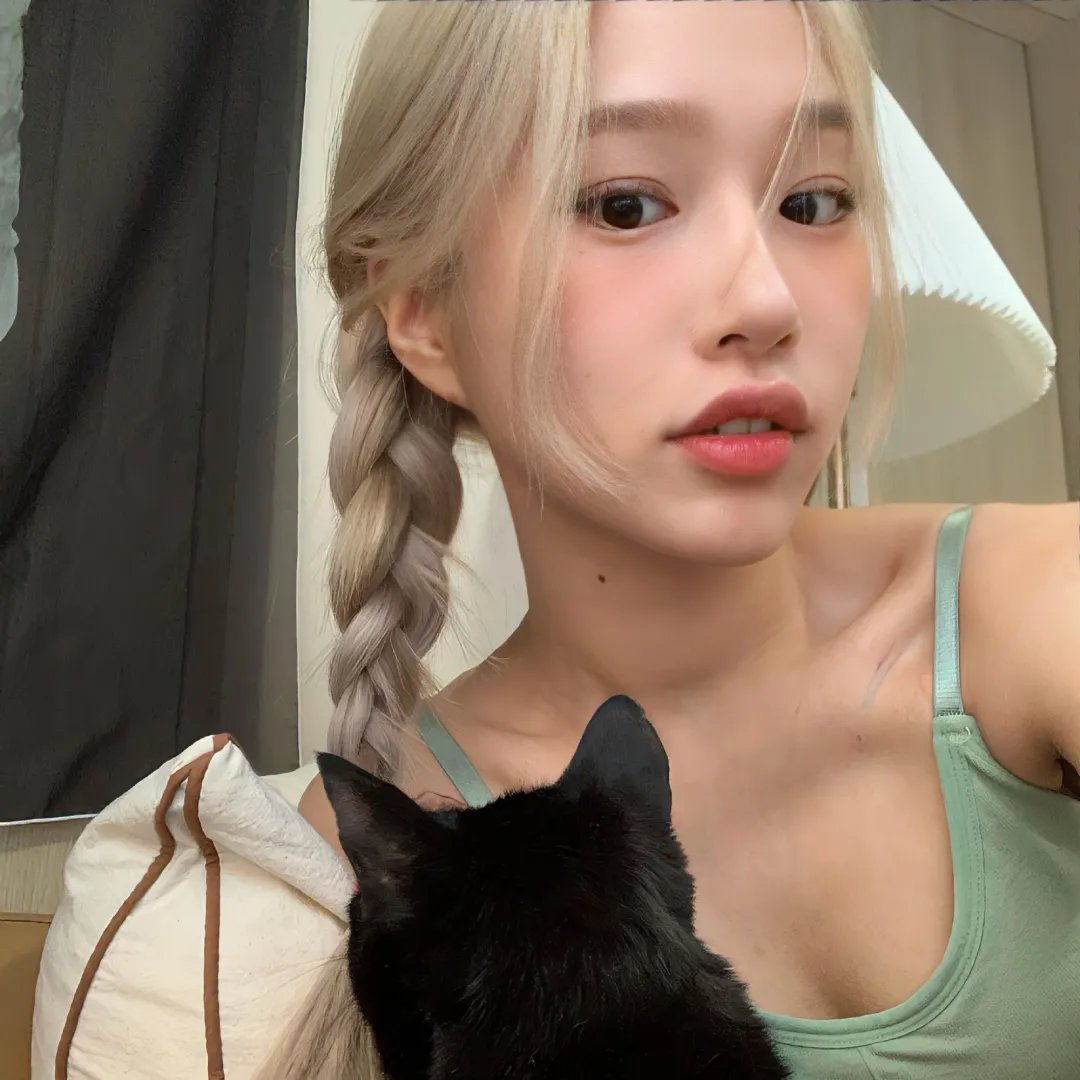 鱼与猫